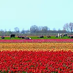 Holiday home Markermeerlogies Bovenkarspel