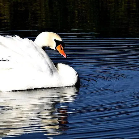 Сasa de vacaciones Markermeerlogies