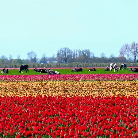 Ferienhaus Markermeerlogies Bovenkarspel