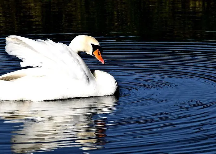 Semesterbostad Markermeerlogies