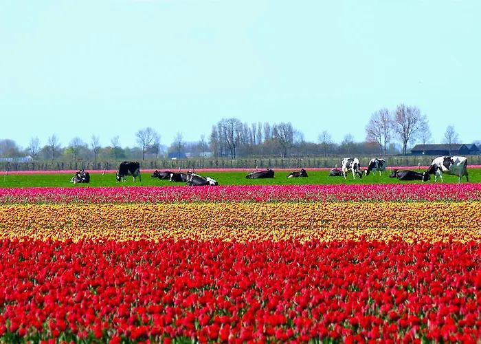 Semesterbostad Markermeerlogies Bovenkarspel