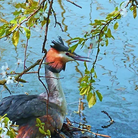 펜션 Markermeerlogies